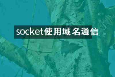 socket使用域名通信