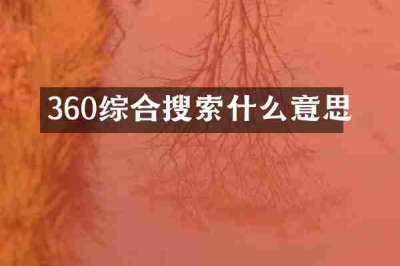 360综合搜索什么意思