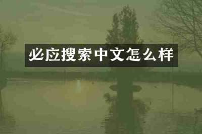 必应搜索中文怎么样