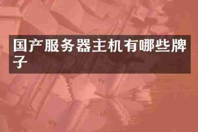 国产服务器主机有哪些牌子