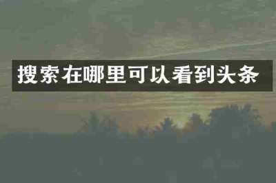 搜索在哪里可以看到头条