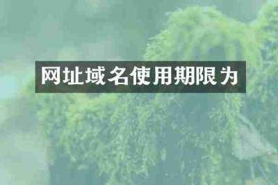 网址域名使用期限为