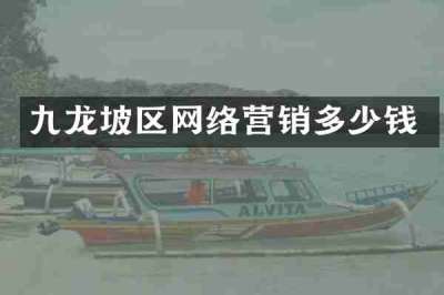 九龙坡区网络营销多少钱