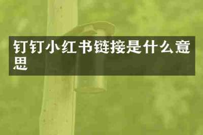 钉钉小红书链接是什么意思