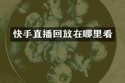 快手直播回放在哪里看