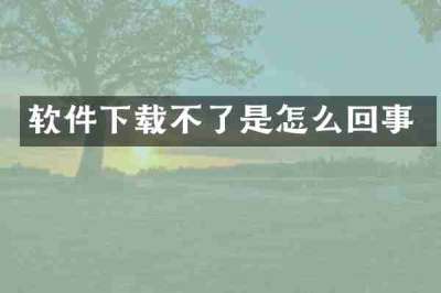软件下载不了是怎么回事