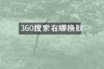 360搜索在哪换肤