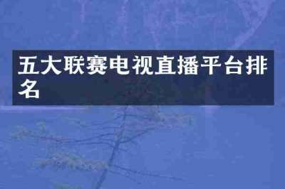 五大联赛电视直播平台排名