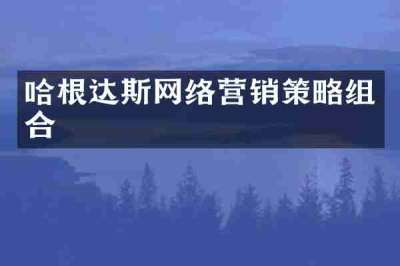 哈根达斯网络营销策略组合