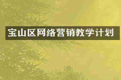 宝山区网络营销教学计划