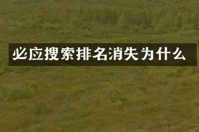 必应搜索排名消失为什么