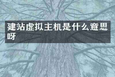 建站虚拟主机是什么意思呀