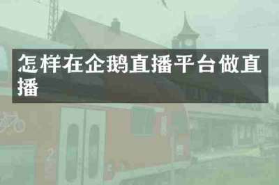怎样在企鹅直播平台做直播