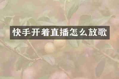 快手开着直播怎么放歌
