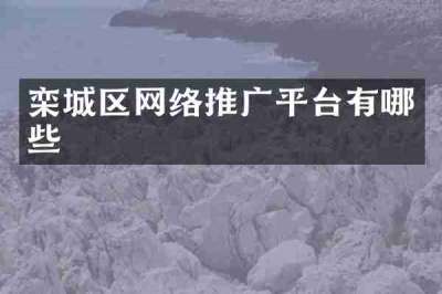 栾城区网络推广平台有哪些