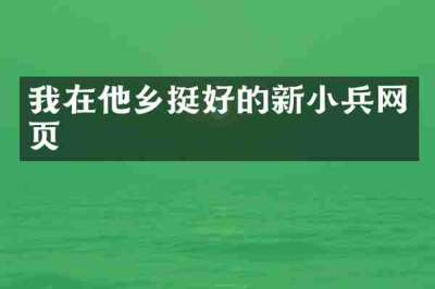 我在他乡挺好的新小兵网页