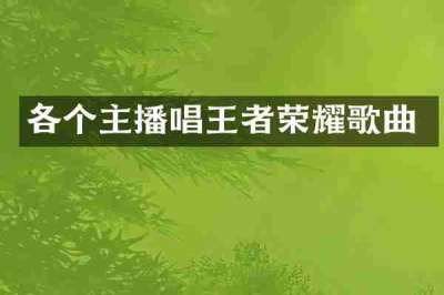 各个主播唱王者荣耀歌曲
