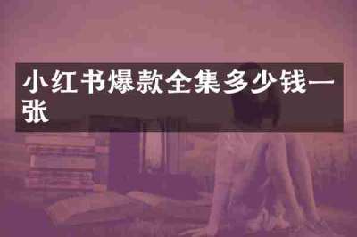 小红书爆款全集多少钱一张