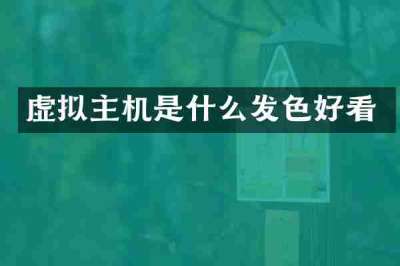 虚拟主机是什么发色好看