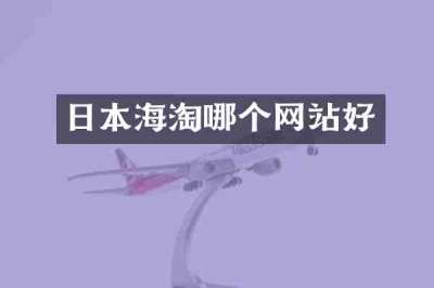 日本海淘哪个网站好