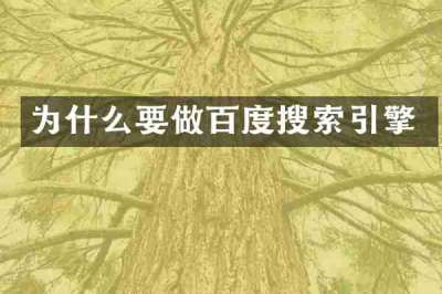 为什么要做百度搜索引擎