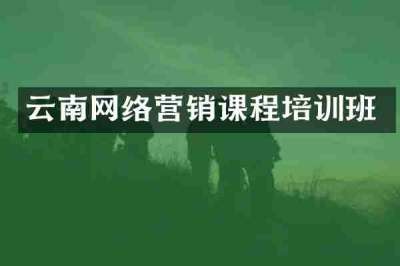 云南网络营销课程培训班