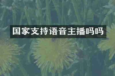 国家支持语音主播吗吗