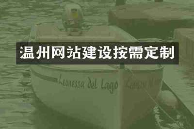 温州网站建设按需定制