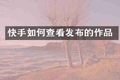 快手如何查看发布的作品