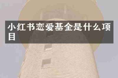 小红书恋爱基金是什么项目