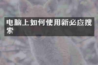电脑上如何使用新必应搜索