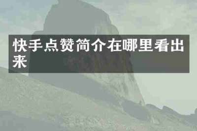 快手点赞简介在哪里看出来
