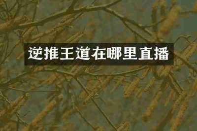 逆推王道在哪里直播
