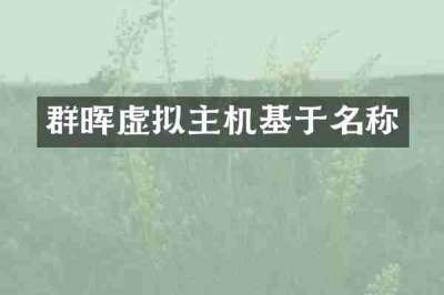 群晖虚拟主机基于名称