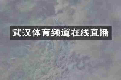 武汉体育频道在线直播