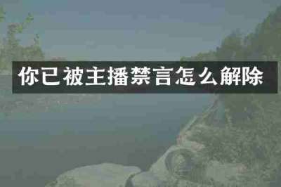 你已被主播禁言怎么解除