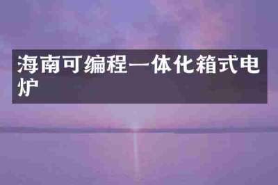 海南可编程一体化箱式电炉