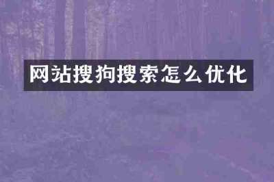 网站搜狗搜索怎么优化