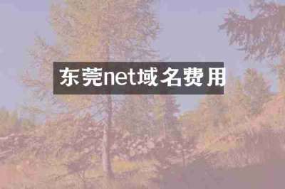 东莞net域名费用