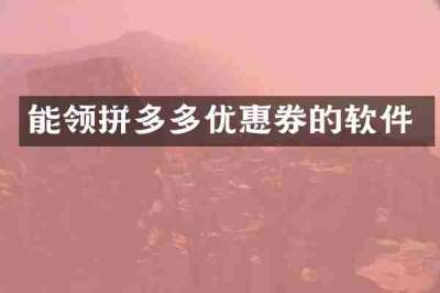 能领拼多多优惠券的软件