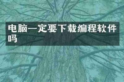 电脑一定要下载编程软件吗