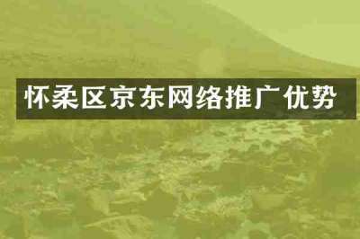 怀柔区京东网络推广优势