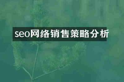 seo网络销售策略分析