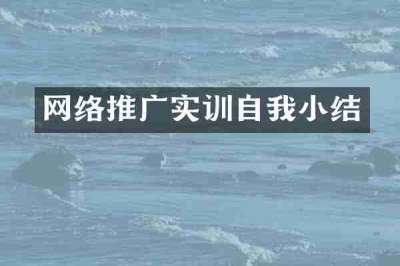 网络推广实训自我小结
