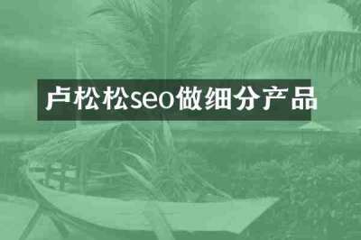 卢松松seo做细分产品