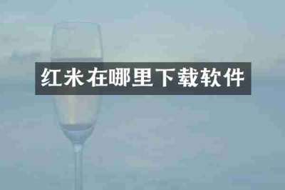 红米在哪里下载软件