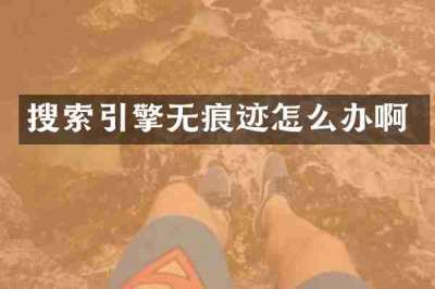 搜索引擎无痕迹怎么办啊