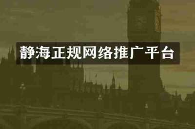 静海正规网络推广平台