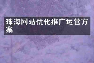 珠海网站优化推广运营方案