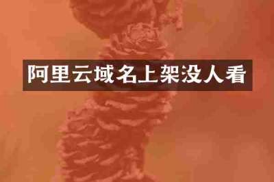 阿里云域名上架没人看